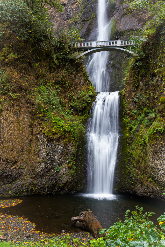 Multnomah Falls: a stunning cascade of water flowing down a rock among lush greenery, with a Benson Bridge suspended on the rocks halfway up the waterfall. There is a person in red jacket on the bridge.