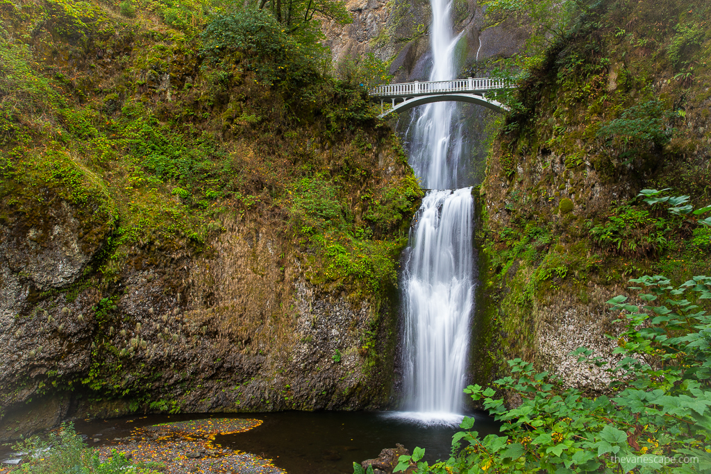 Multnomah Falls Photography Tips: a stunning cascade of water flowing down a rock among lush greenery, with a bridge suspended on the rocks halfway up the waterfall.