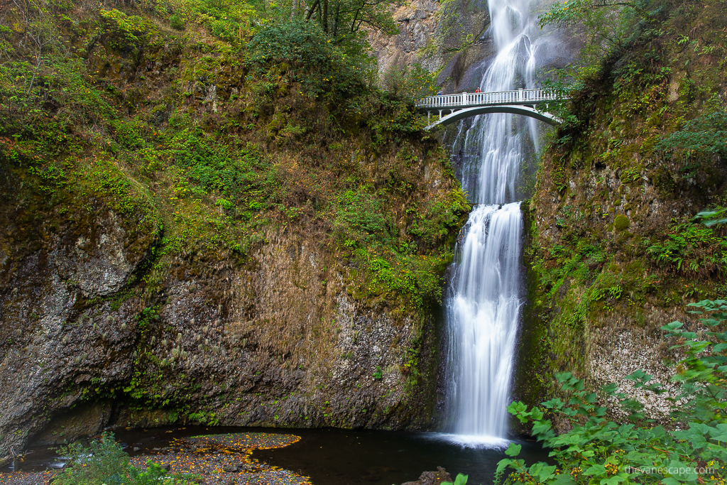 the tallest waterfall in Oregon among greenery 