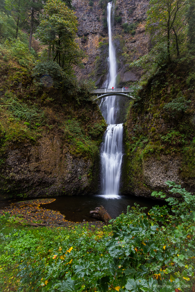 Multnomah Falls Multnomah Falls: a stunning cascade of water flowing down a rock among lush greenery, with a bridge suspended on the rocks halfway up the waterfall. There are people on the Benson Bridge.