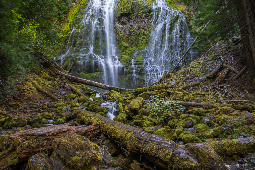 Proxy Falls a stunning cascade of water flowing over mossy green rocks, forest and rocks all around.