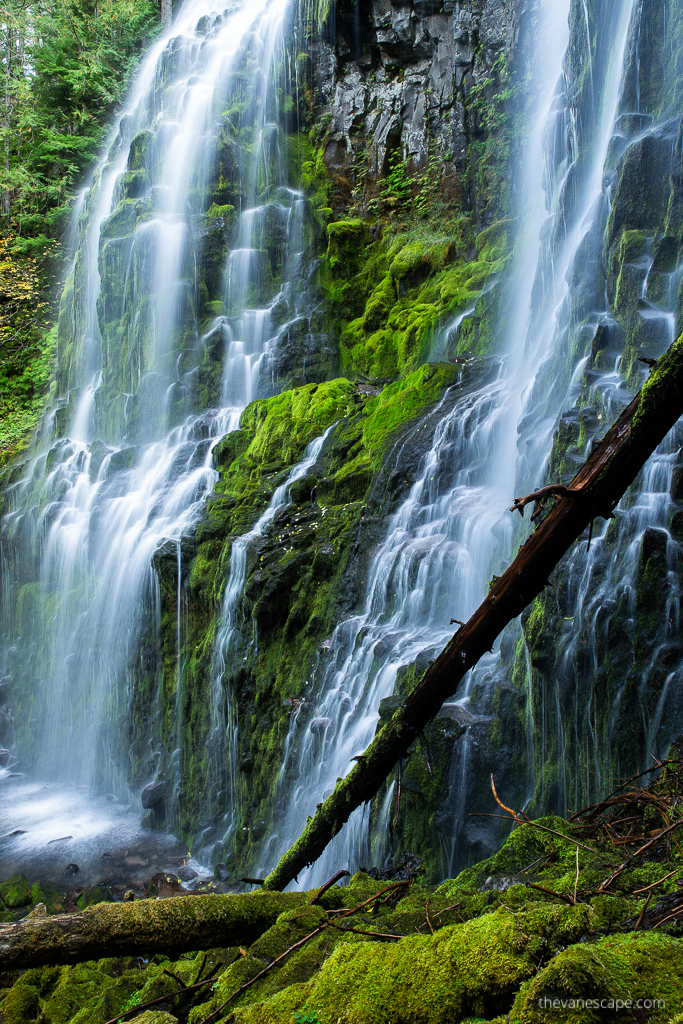 Lower Proxy Falls: water cascades down rotten green mossy rocks.