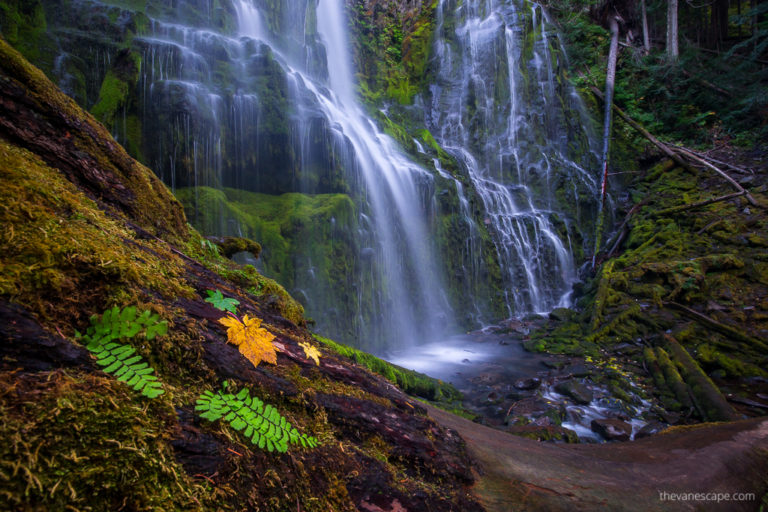 Oregon Proxy Falls Hike & Photo Tips