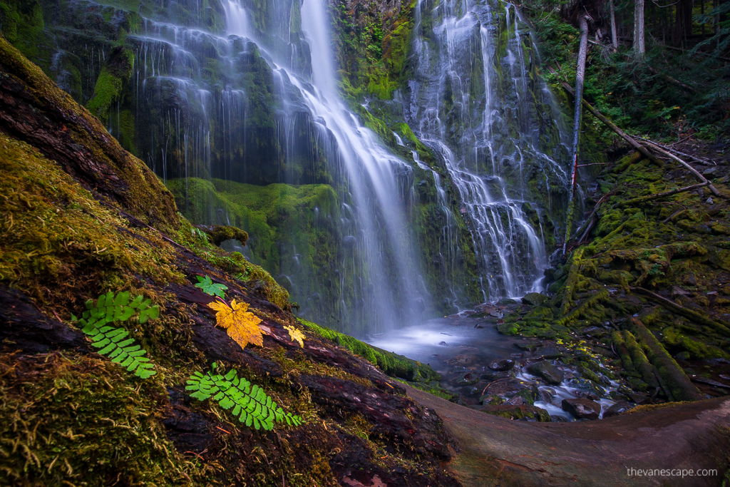 Oregon road trip Itinerary - Proxy Falls