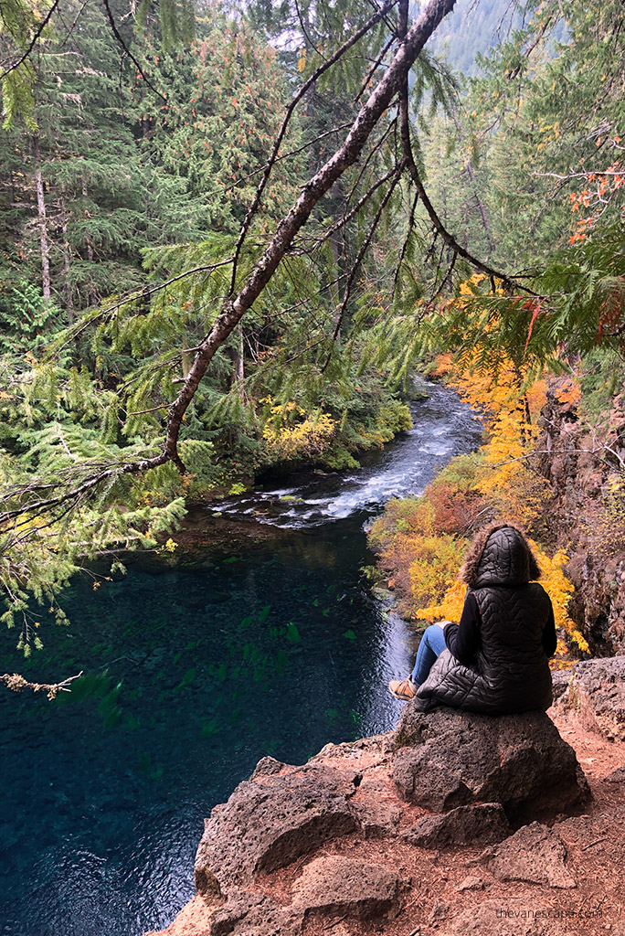 Agnes Stabinska, the author, is sitting and admiring the view of McKenzie River National Recreation Trail during hike to Tamolitch Blue Pool