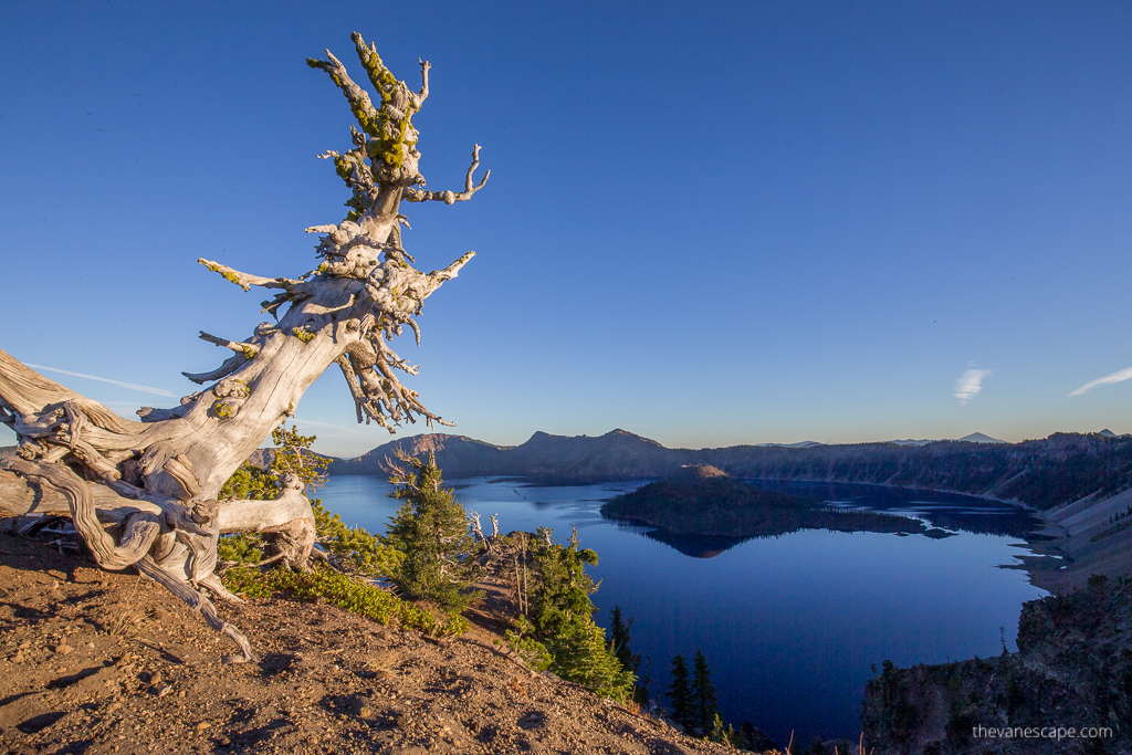 Crater lake national park during sunny day.