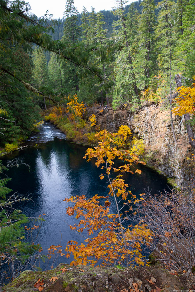 Tamolitch Blue Pool