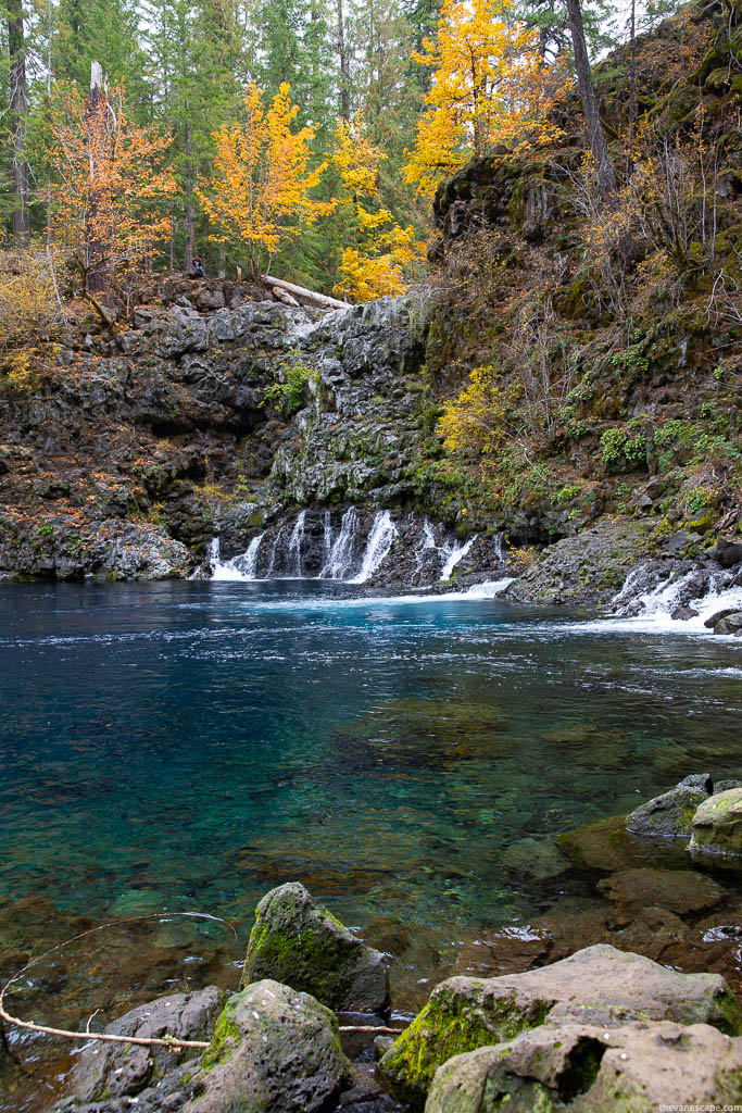 stunning blue water in the Tamolitch Blue Pool.