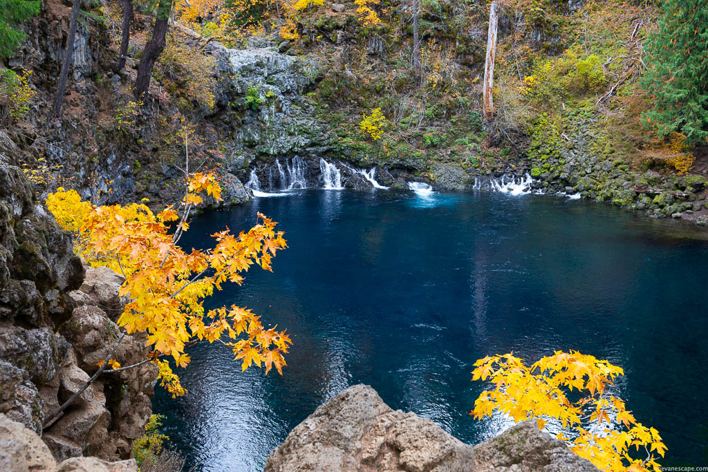 blue water nad yellow leaves around Tamolitch Blue Pool.