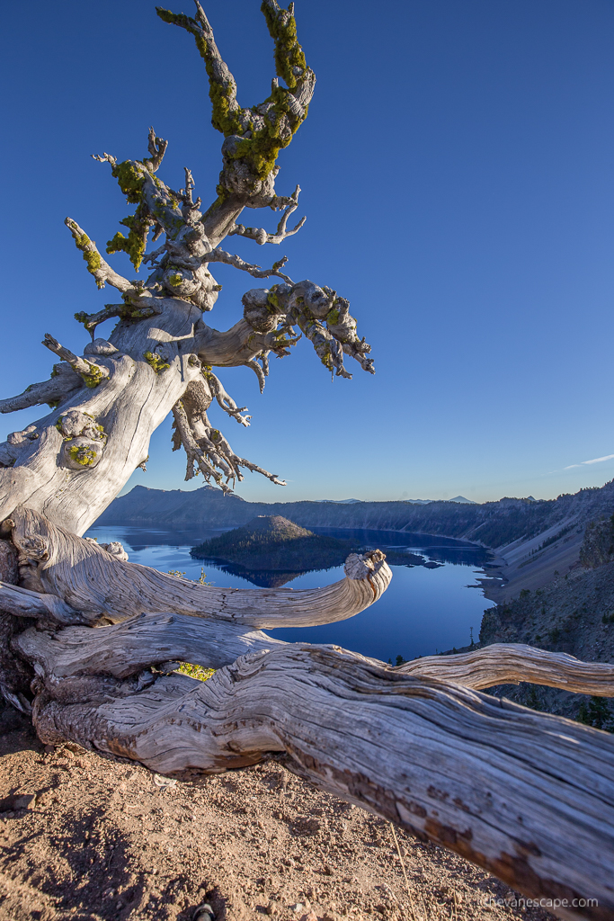 Crater lake national park in Oregon.