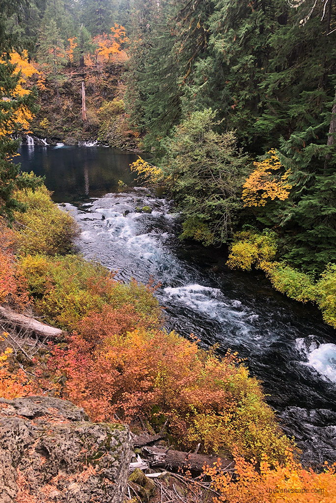  McKenzie River National Recreation Trail