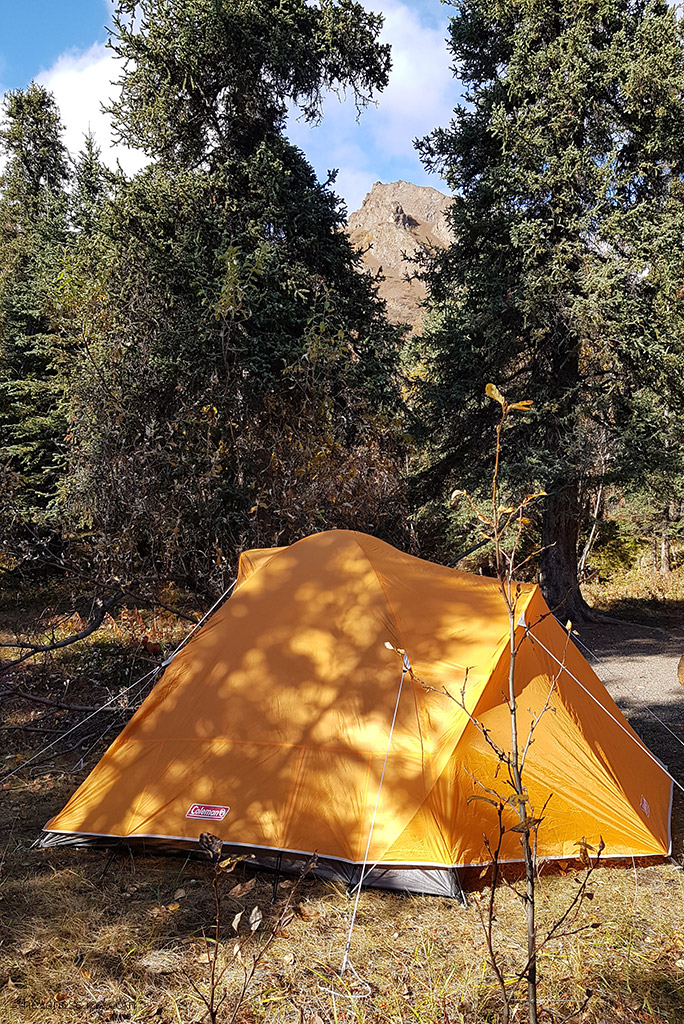 Our orange coleman tent on the camping in Alaska in mountain scenery.