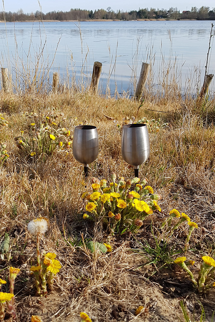 Two stainless steel wine glasses on a floral grass with a view of the lake in the background.