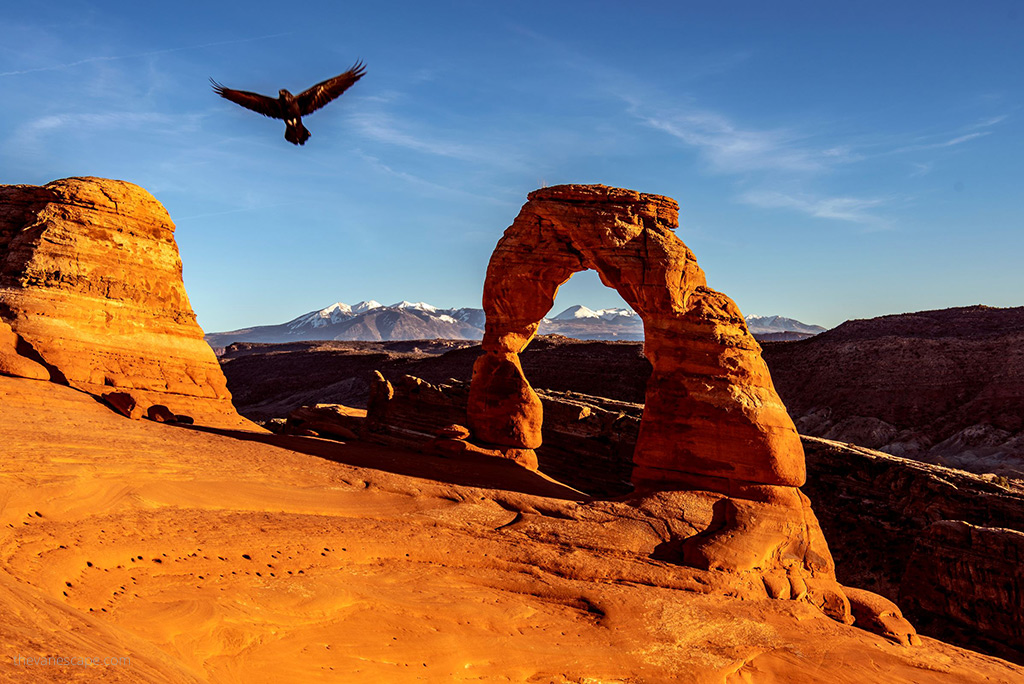 utah national parks road trip: Arches National Park after sunset.