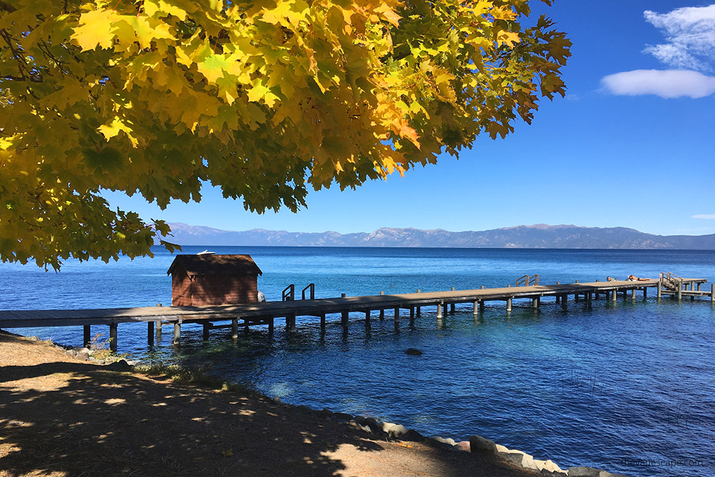 lake tahoe scenic view lake with cottage and yellow leaves on tree.