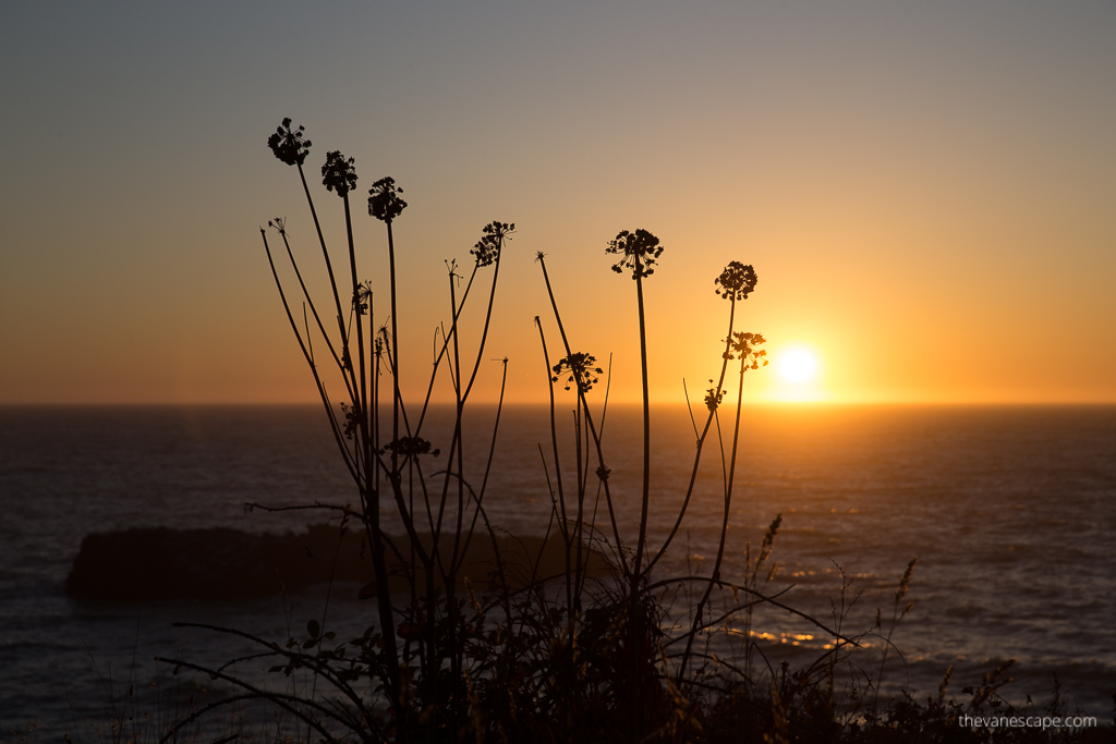 sunset over Oregon coast.