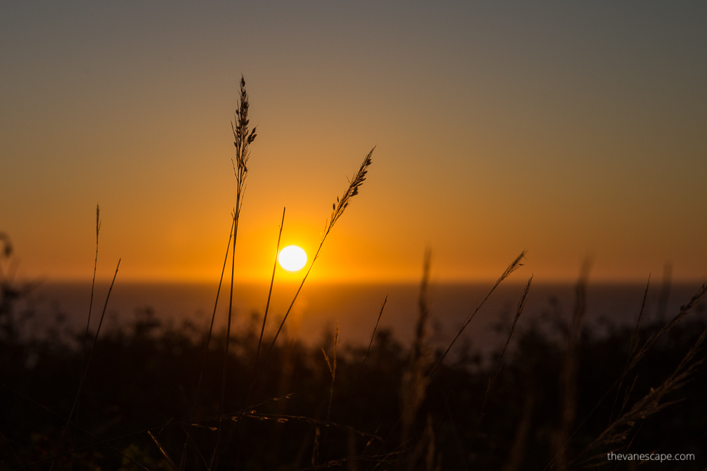 oregon sunset