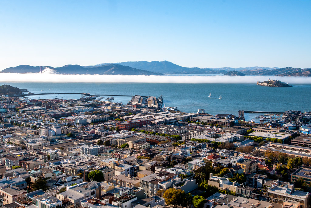 the scenic view of the San Francisco with the ALcatraz island in the backdrop.