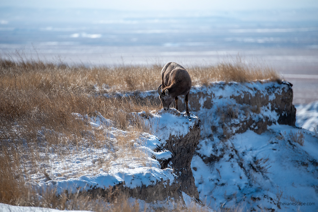 Badlands National Park in Winter