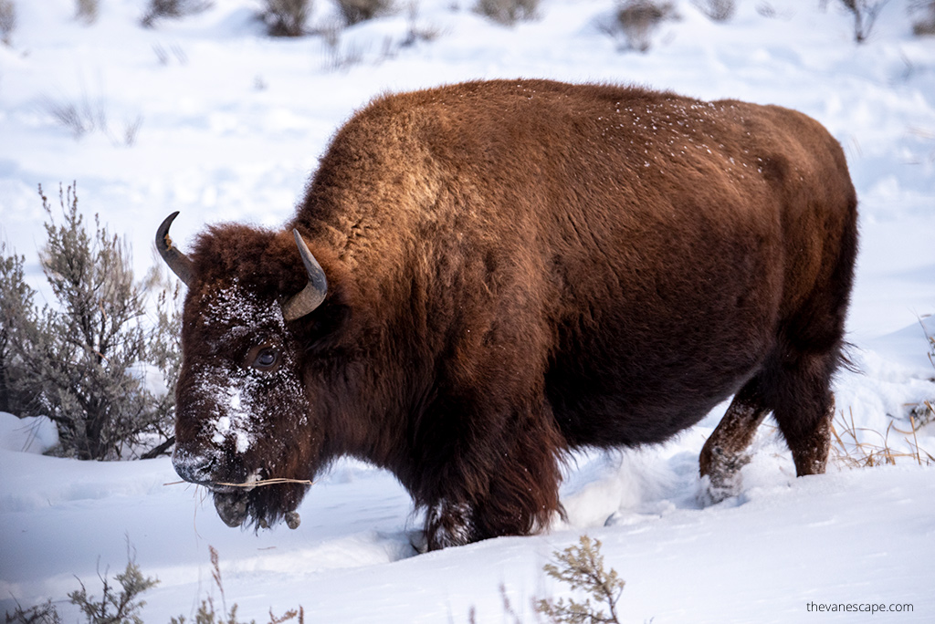 Badlands National Park in Winter