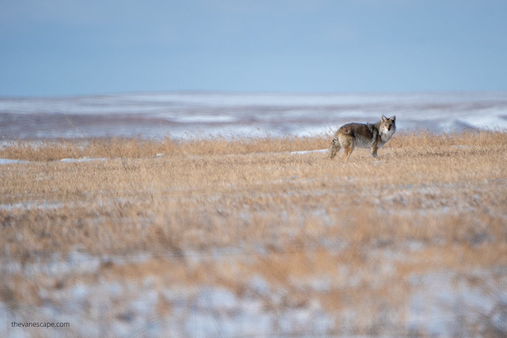 Badlands National Park in Winter