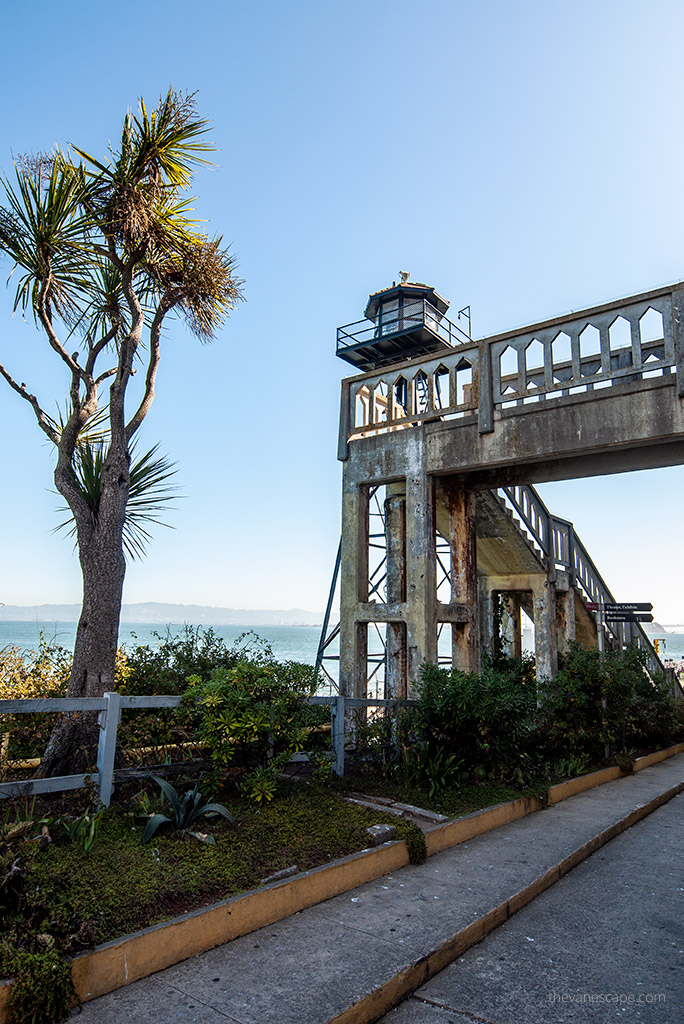 Best Alcatraz Tours