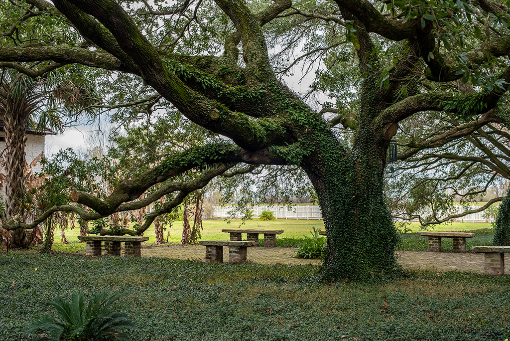 Best New Orleans Plantation Tours - Whitney Plantation
