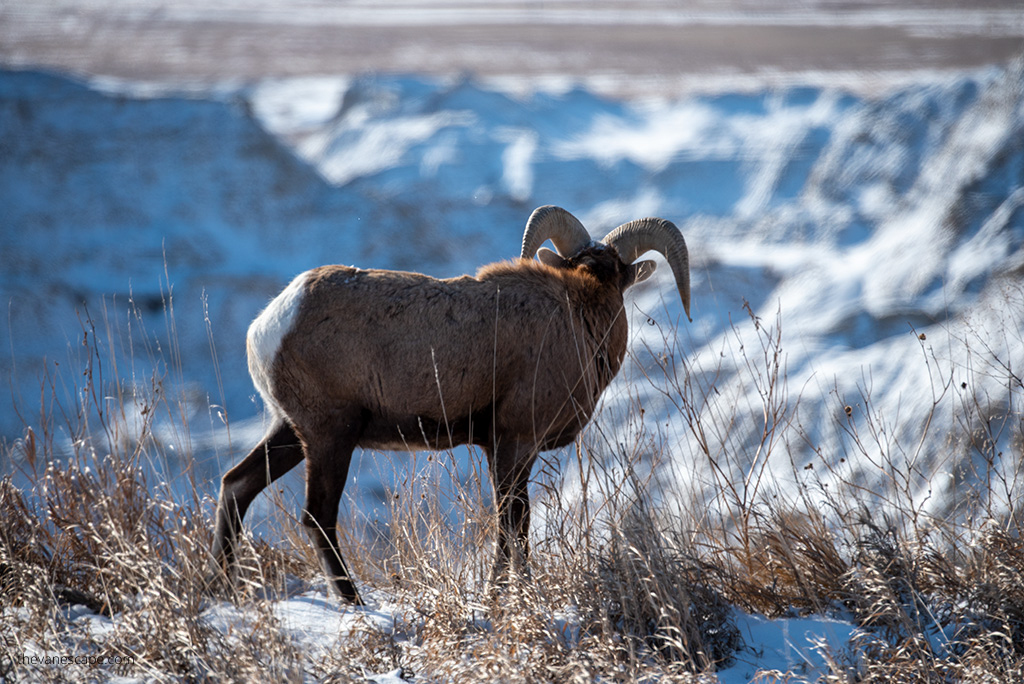 Badlands National Park in Winter