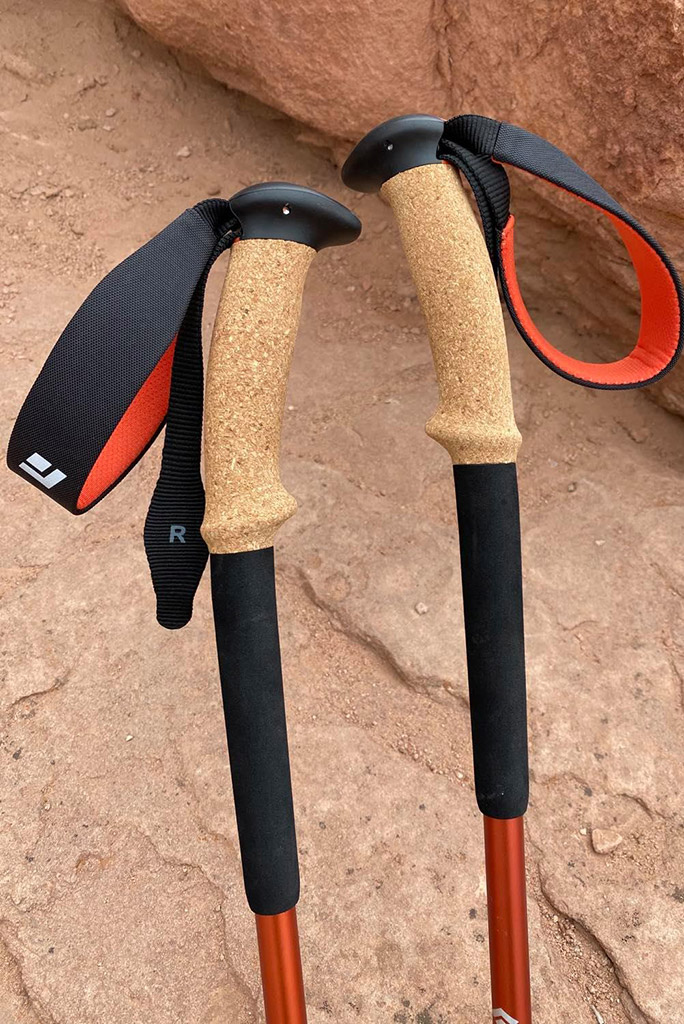 Black Diamond Trail Ergo Cork Trekking Poles