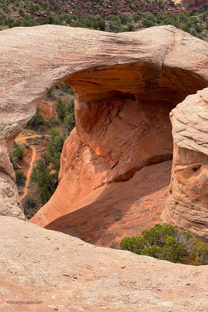 Rattlesnake Canyon Arches