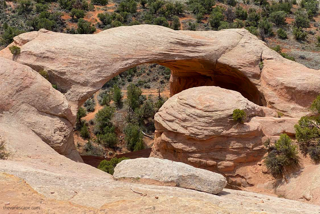 Rattlesnake Arches Trail