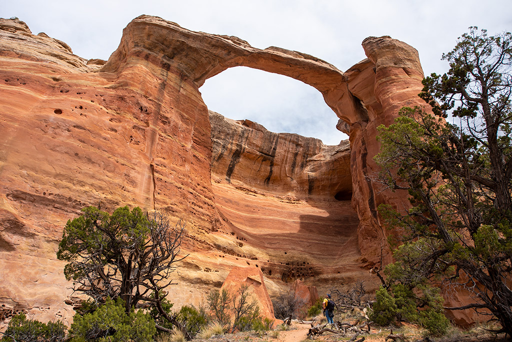 Chris Labanowski, co-owner of the Van Escape Blog is  under a huge, tall, orange-colored rock arch in Rattlesnake Arches.