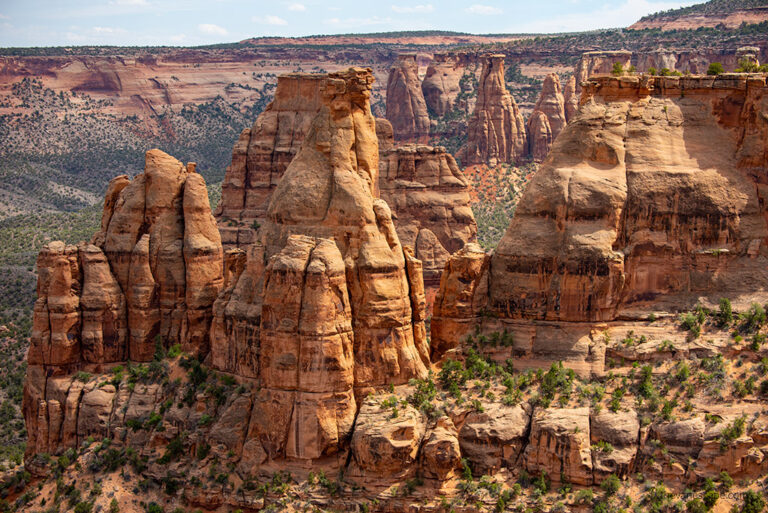 10 Best Things to Do in Colorado National Monument