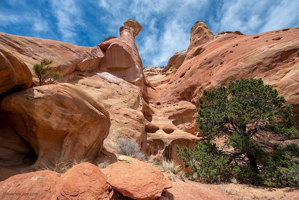 hiking trail