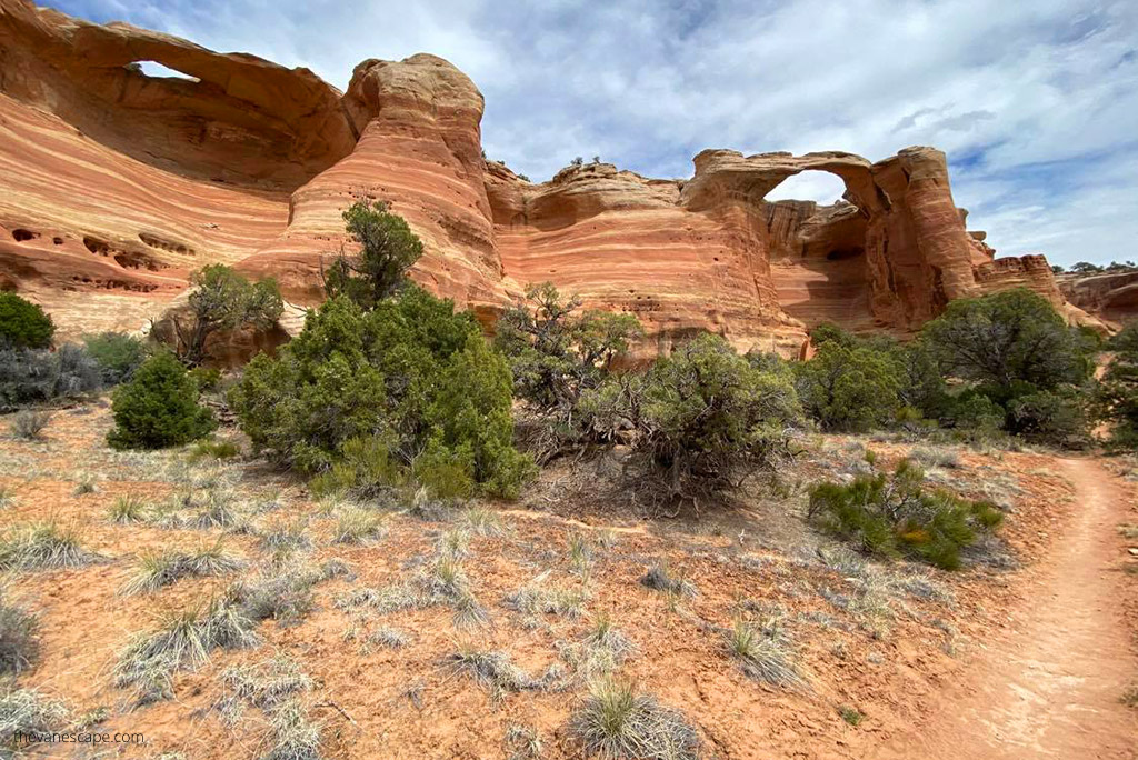 orange rock formations at the Rattlesnake Arches Trail