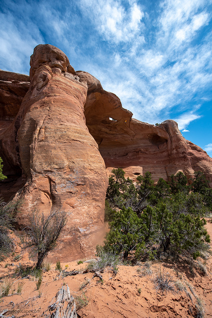 Rattlesnake Canyon Arches