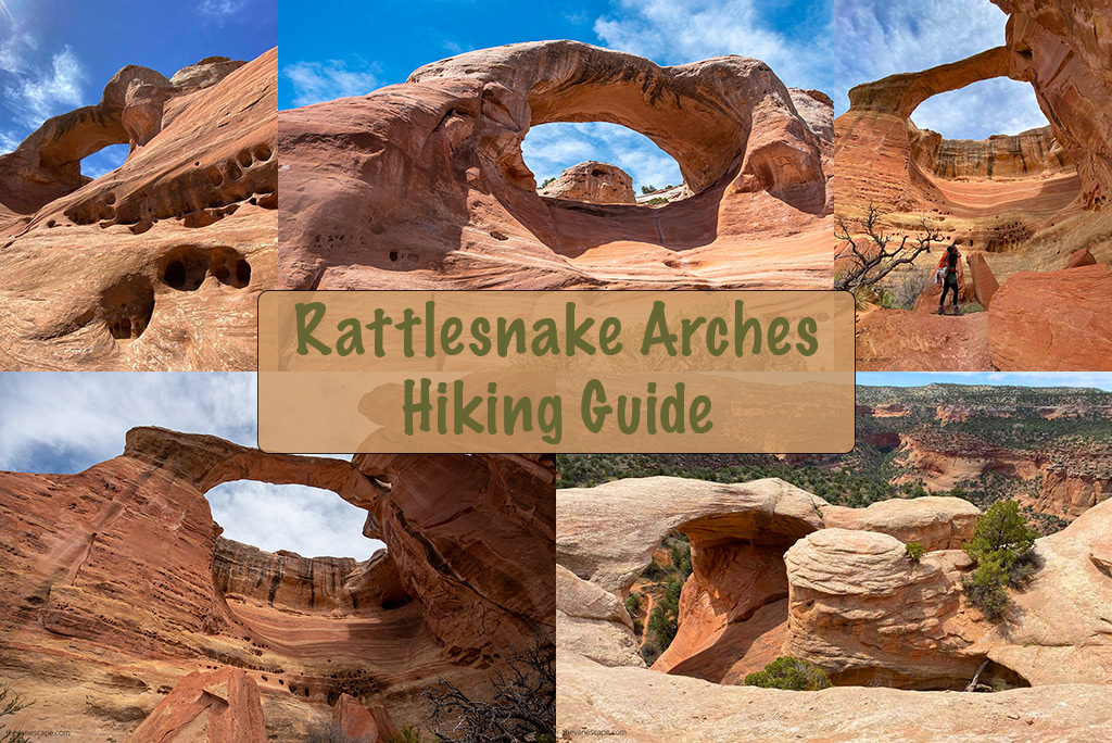 Rattlesnake Arches trail: photo collage with several arches on it.