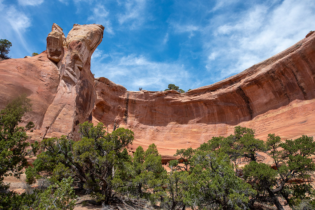 hiking in the area