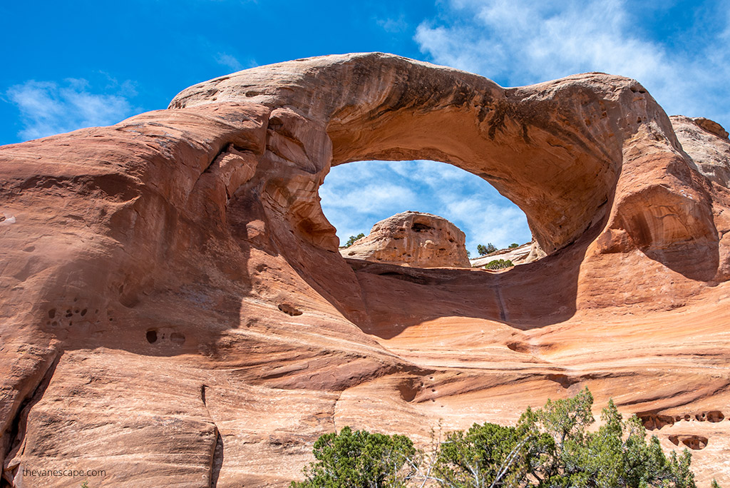 arches at Rattlesnake Arches Trail