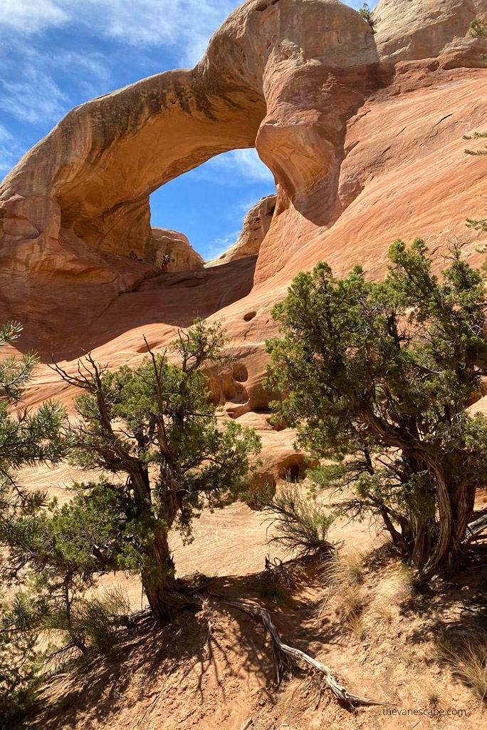 Rattlesnake Canyon Arches: tall, orange-colored rock arch.