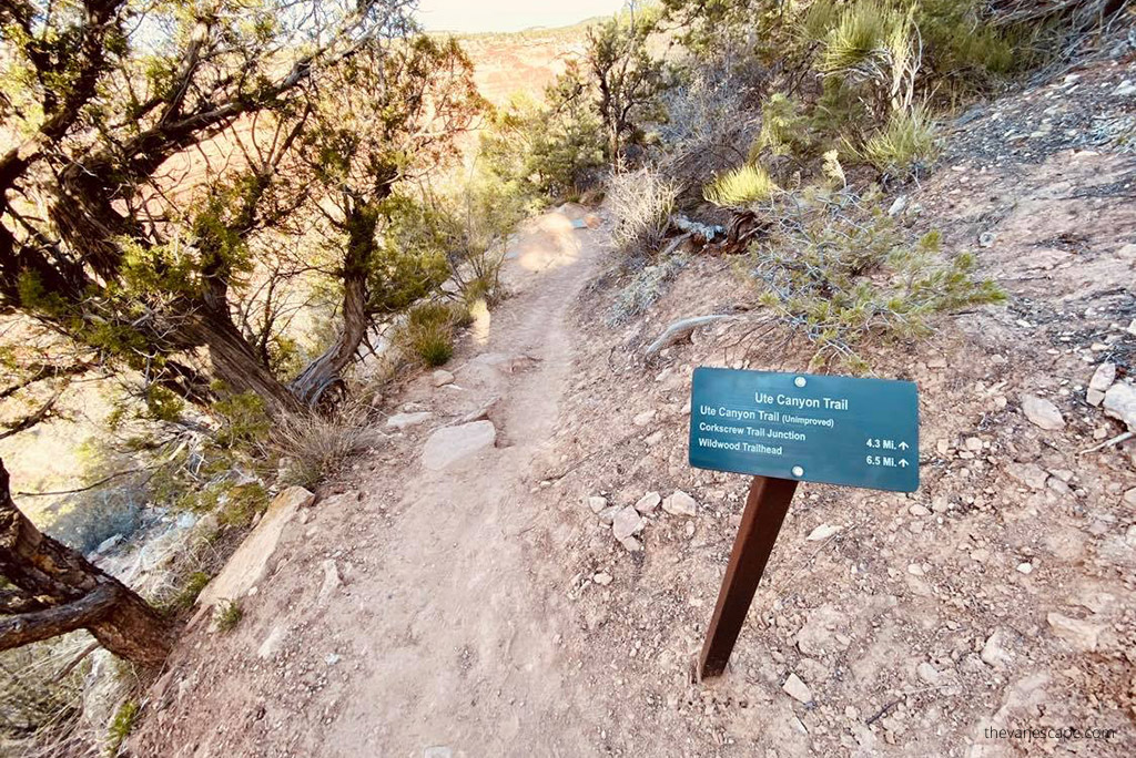 ute canyon trail