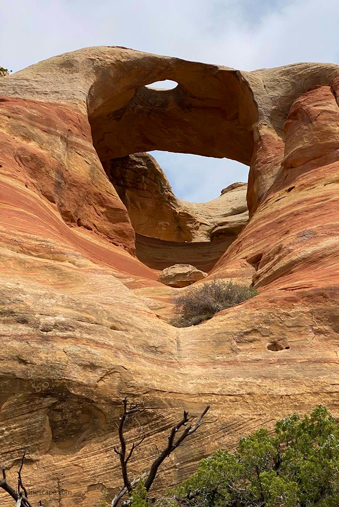 Rattlesnake Canyon Arches: tall, orange-colored rock arch.