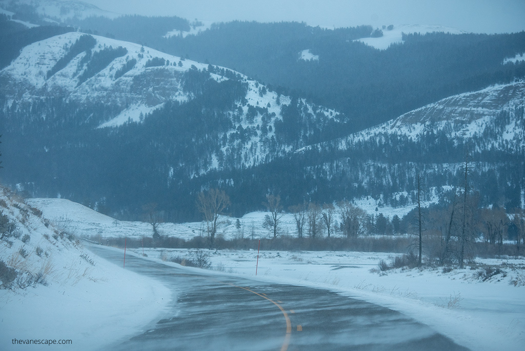 snowy road in Yellowstone.