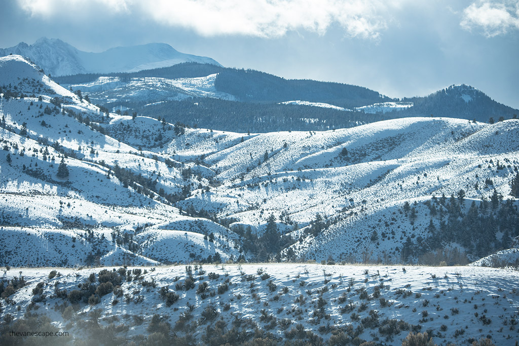 Yellowstone’s Northern Range