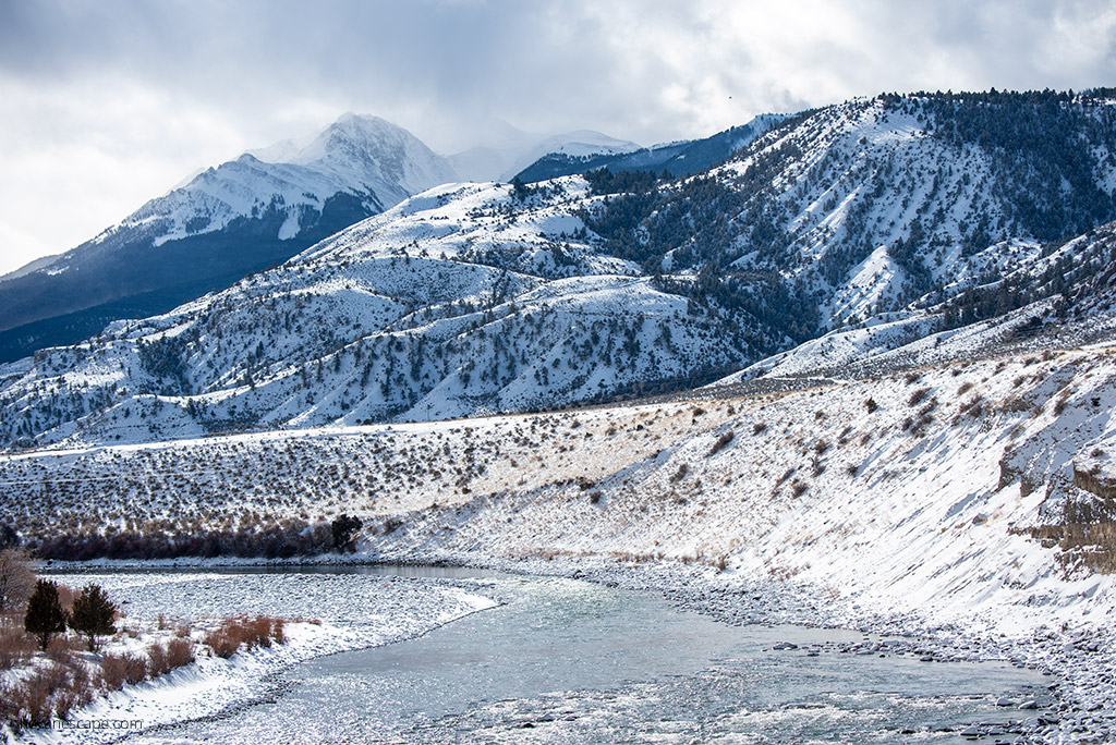 Yellowstone’s Northern Range