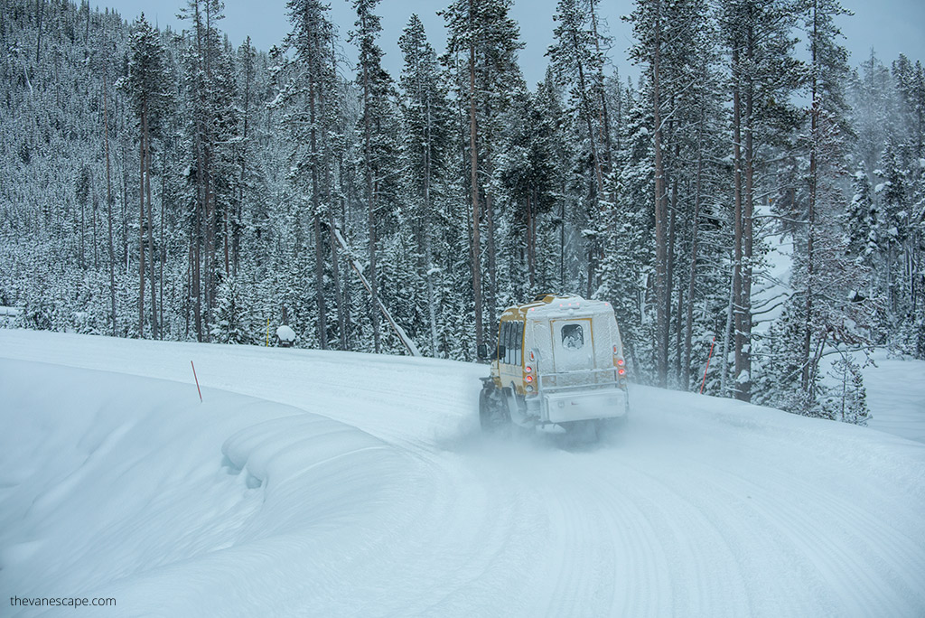 Yellowstone Snowcoach Tour