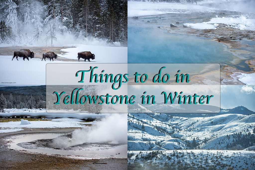 Things to do in Yellowstone in Winter: photo collage with winter landscape and bisons.