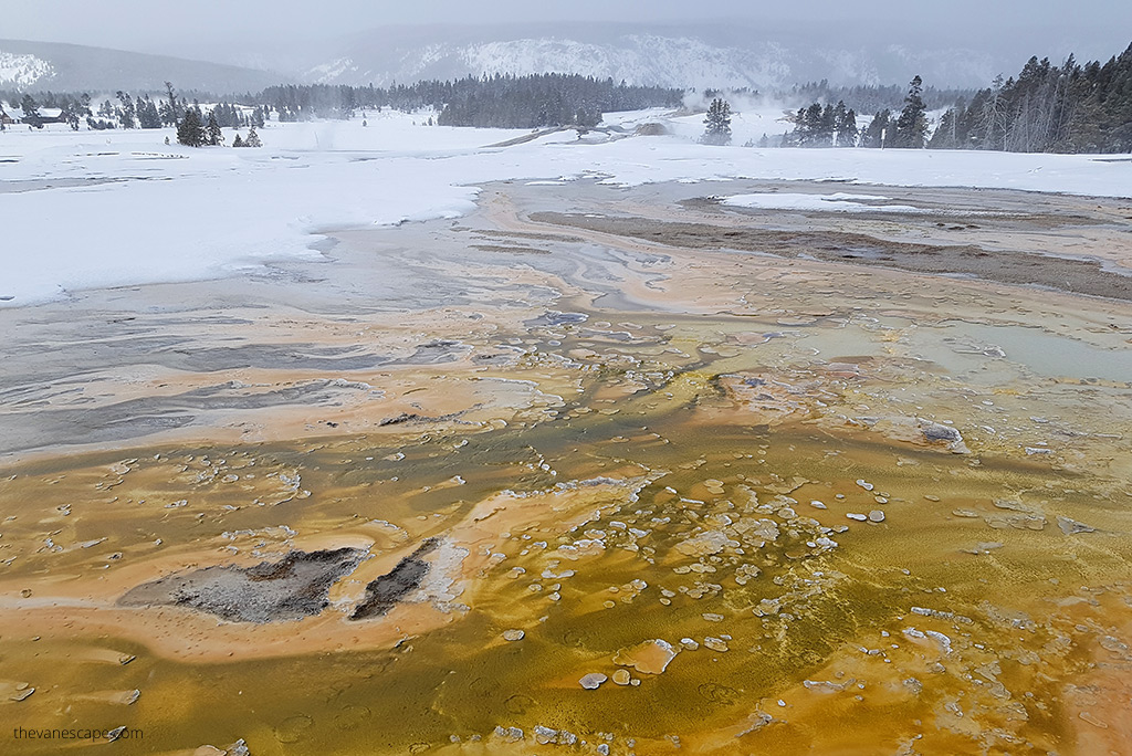 geysers