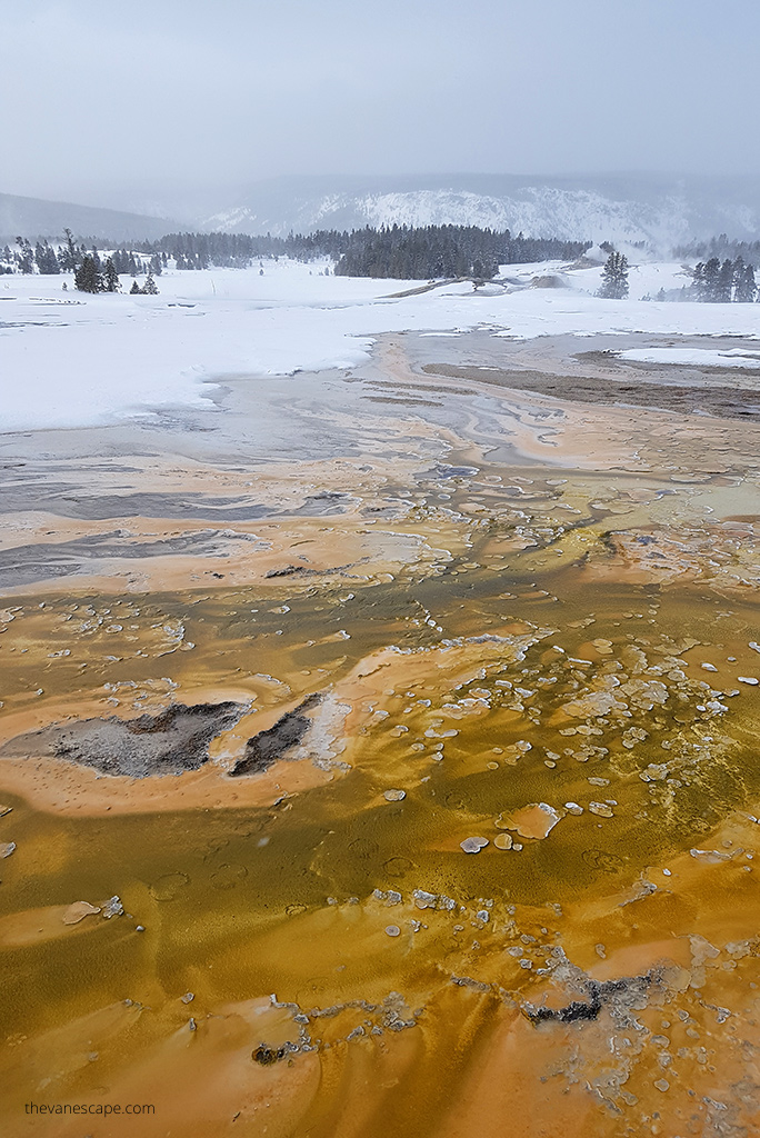 steaming geysers in Yellowstone.