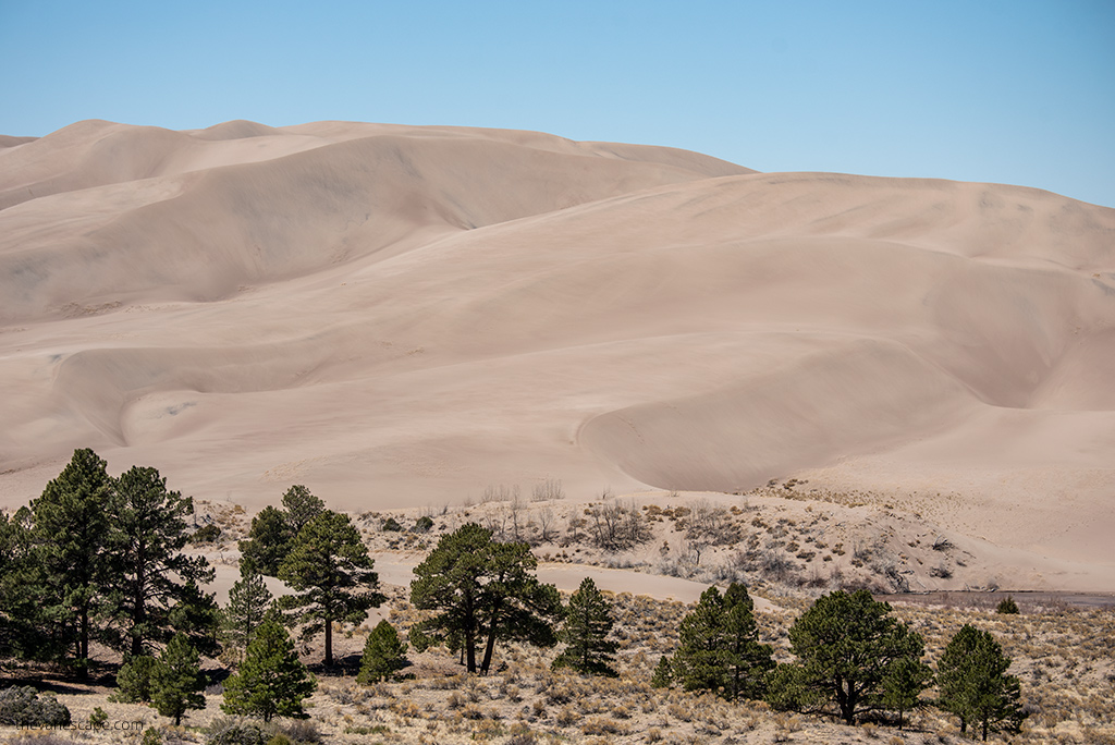 Things To Do In Great Sand Dunes National Park